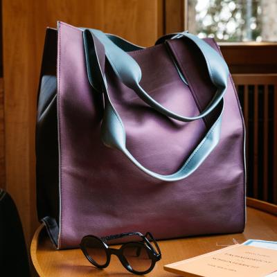 VegaLed  Little Sister